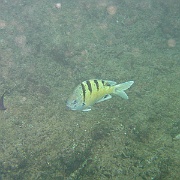Picture 047